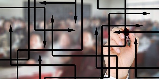 Featured image for Organization