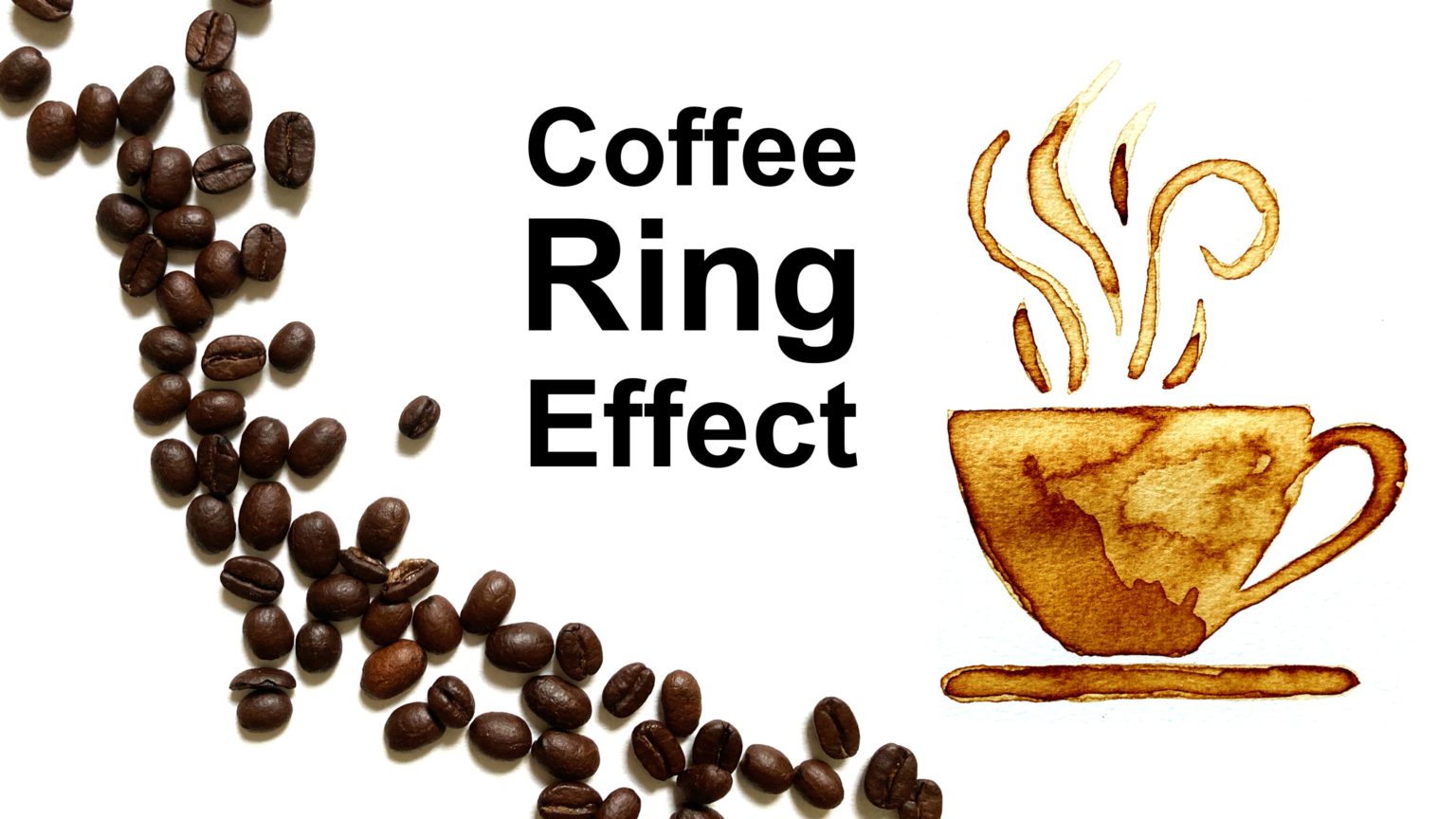 the “coffee ring effect” CRC 1411 Design of Particulate