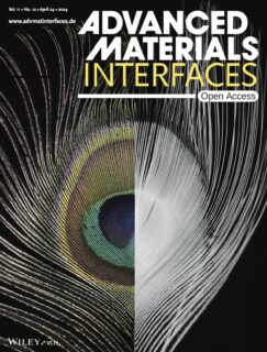 Towards entry "Carina’s and Gudrun’s recent article has been featured on the cover of Advanced Materials Interfaces!"