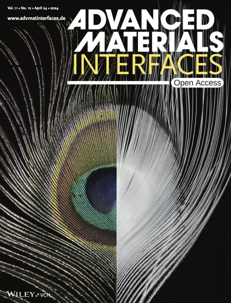 Carina’s and Gudrun’s recent article has been featured on the cover of Advanced Materials Interfaces!