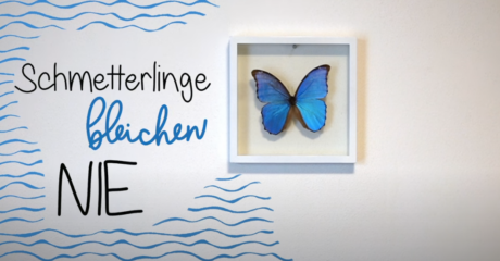 To the page:Lehrvideos