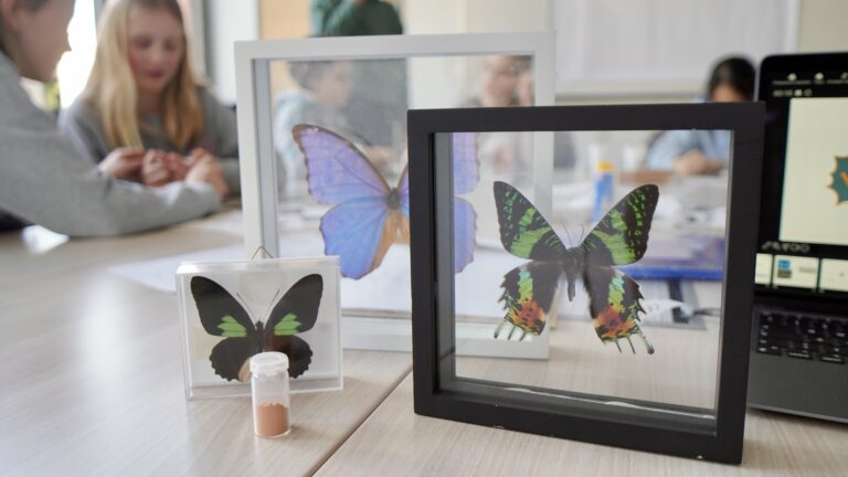 CRC 1411 Researchers Inspire Young Minds on Girls’ Day