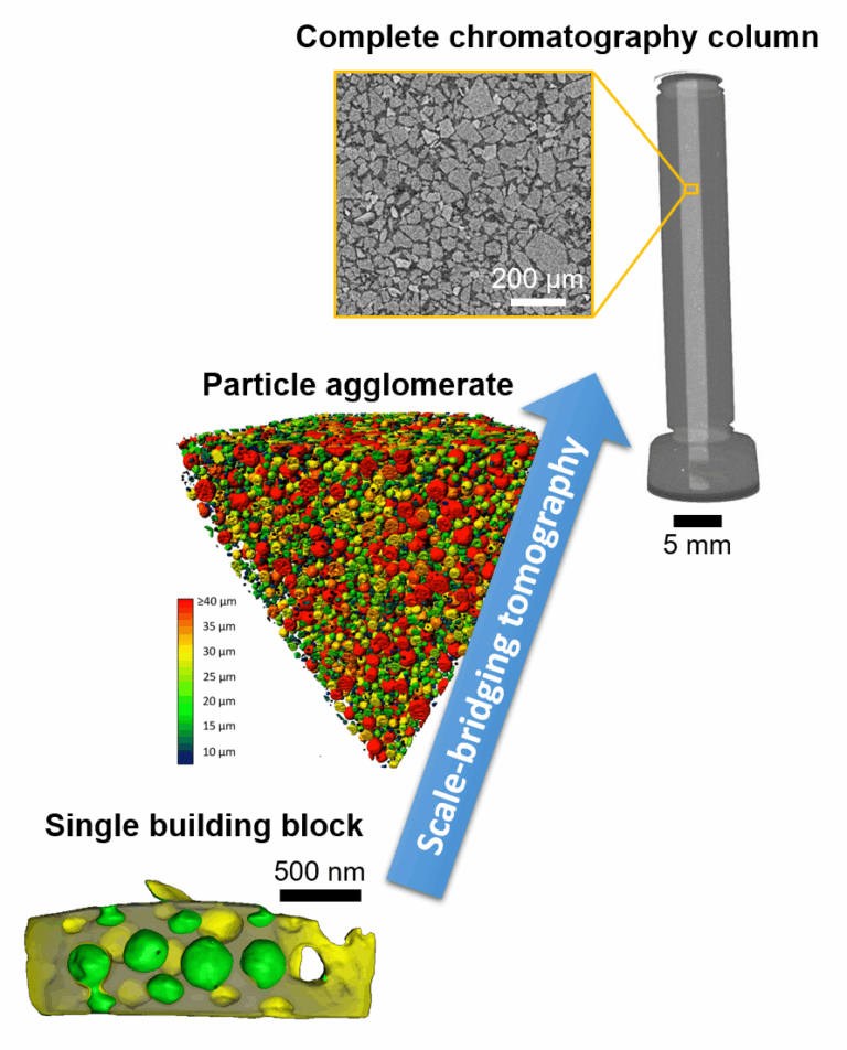 Open doctoral position: Scale-Bridging Correlative Tomography