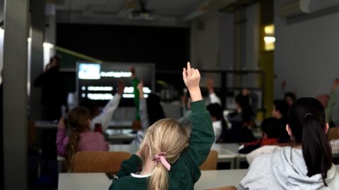 Symbolic picture for the article. The link opens the image in a large view.