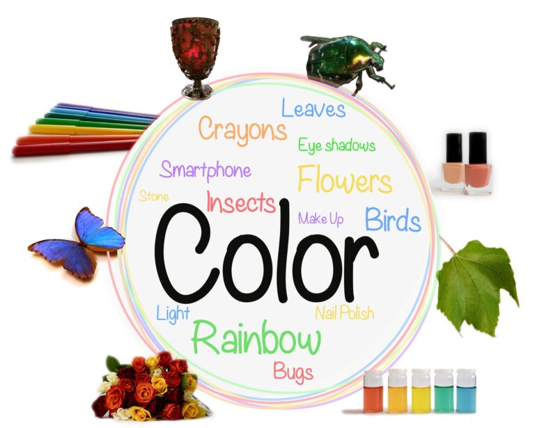 New Kniffelix color mission