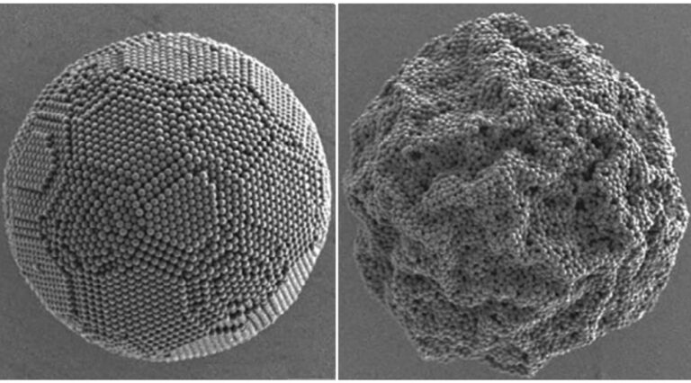 Steering supraparticle structure: how surfactants enable particle design