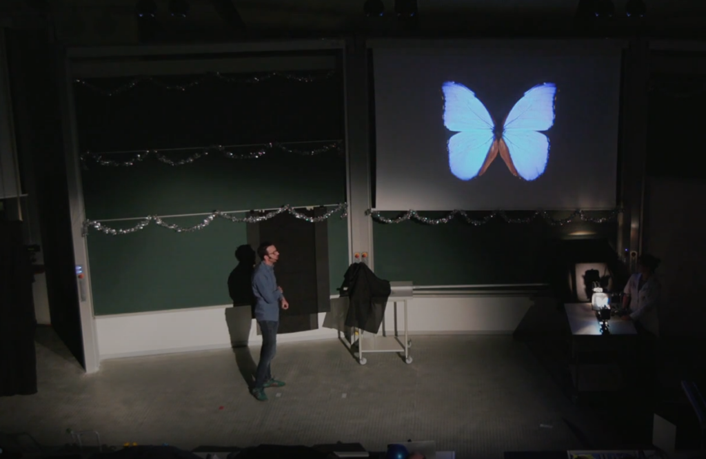 Nicolas Vogel steht im verdunkelten Hörsaal vor einer Projektion eines blauen Schmetterlings